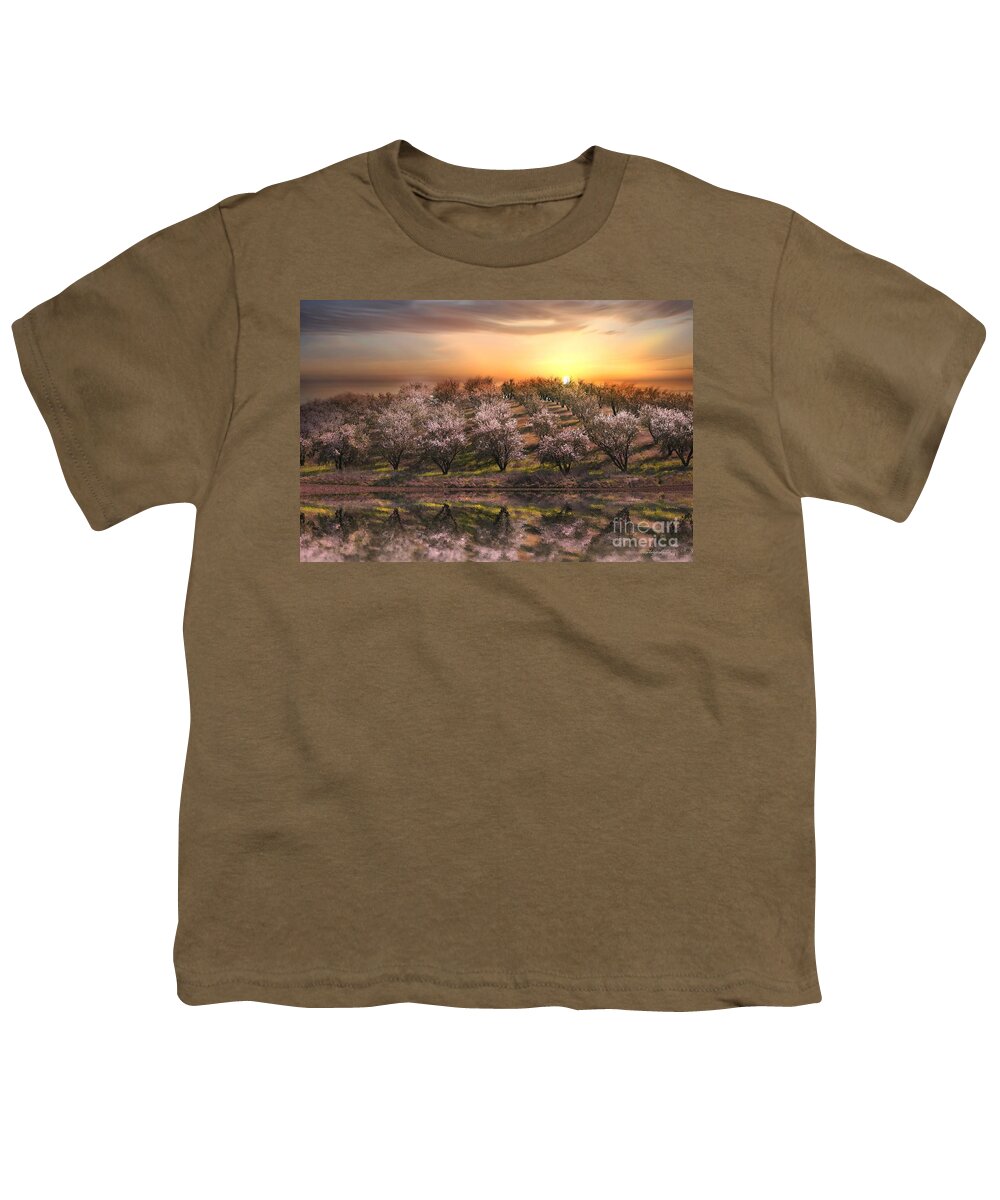 Grove Youth T-Shirt featuring the photograph Almonds by Stephanie Laird