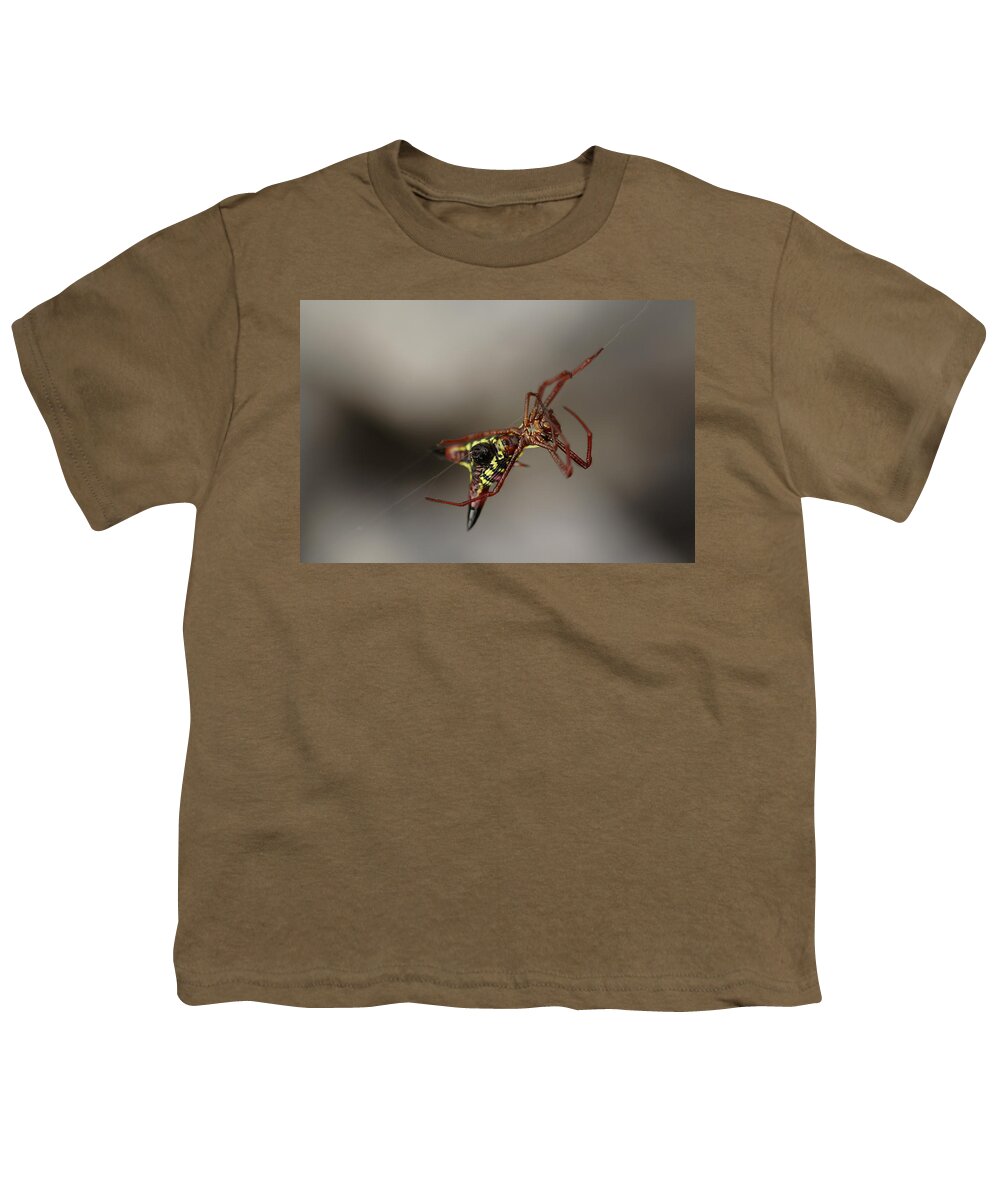 Arrow-shaped Micrathena Spider Starting A Web Youth T-Shirt featuring the photograph Arrow-Shaped Micrathena Spider Starting A Web by Daniel Reed