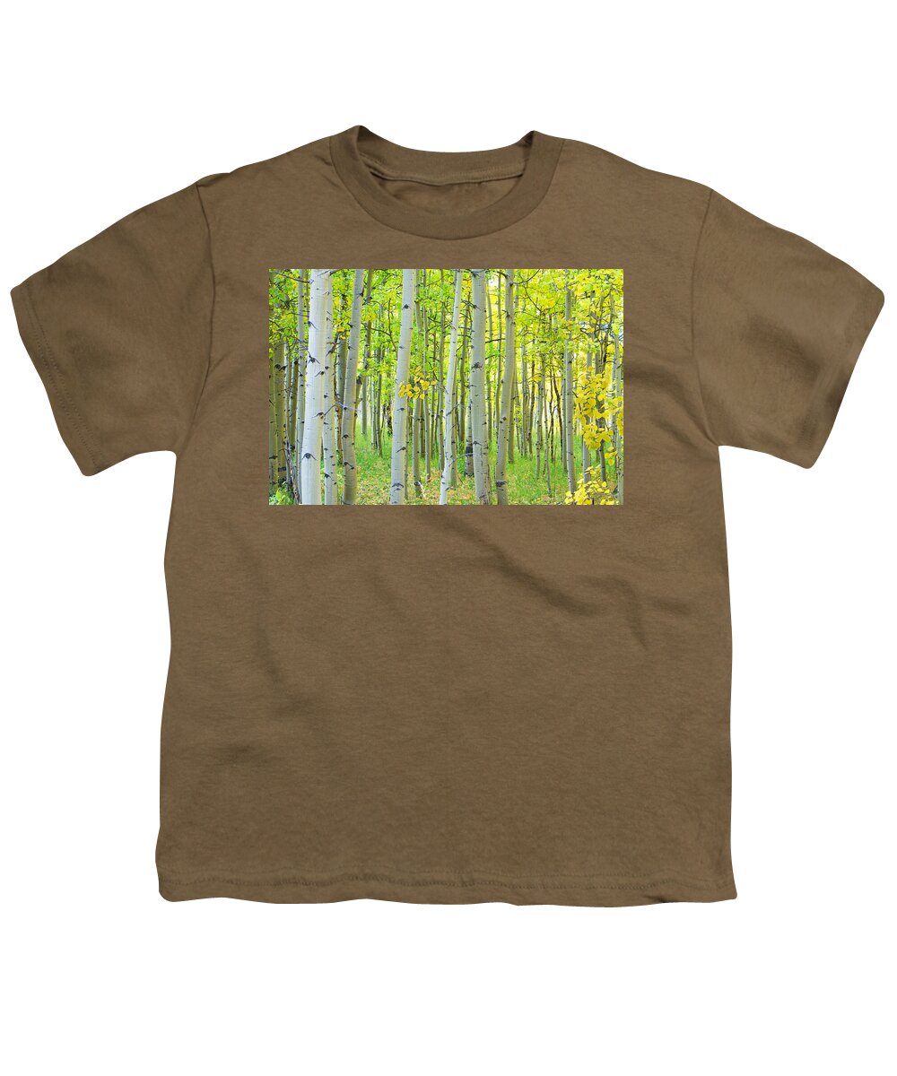 Aspens Youth T-Shirt featuring the photograph Aspen Tree Forest Autumn Time by James BO Insogna
