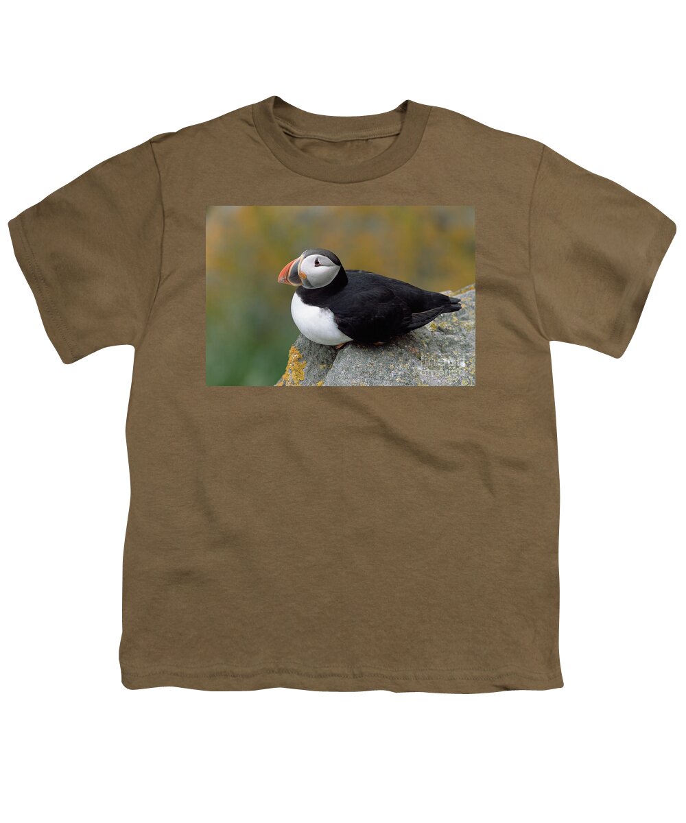 Mp Youth T-Shirt featuring the photograph Atlantic Puffin In Breeding Colors #1 by Yva Momatiuk and John Eastcott
