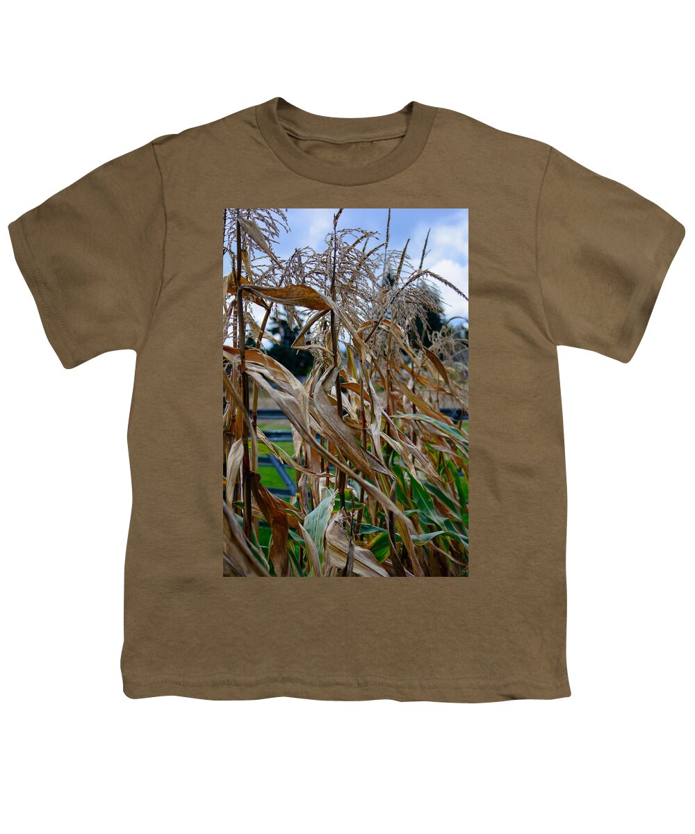 Cornstalk Youth T-Shirt featuring the photograph Autumn Corn by Tikvah's Hope
