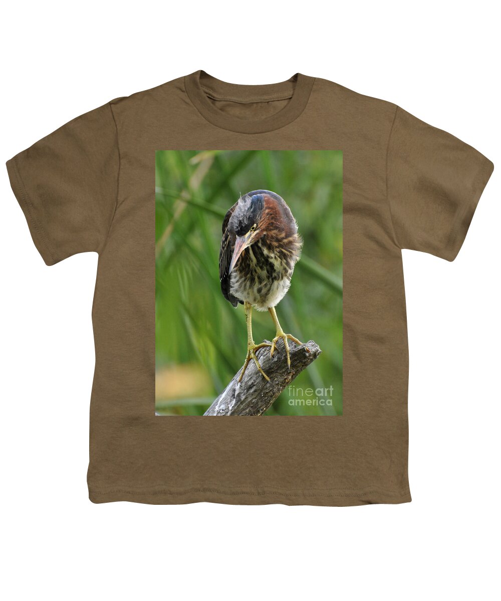 Heron Youth T-Shirt featuring the photograph Baby Greenbacked Heron by Kathy Baccari