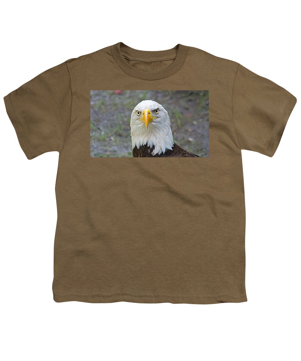 Wildlife Youth T-Shirt featuring the photograph Bald Eagle 2 by Kenneth Albin