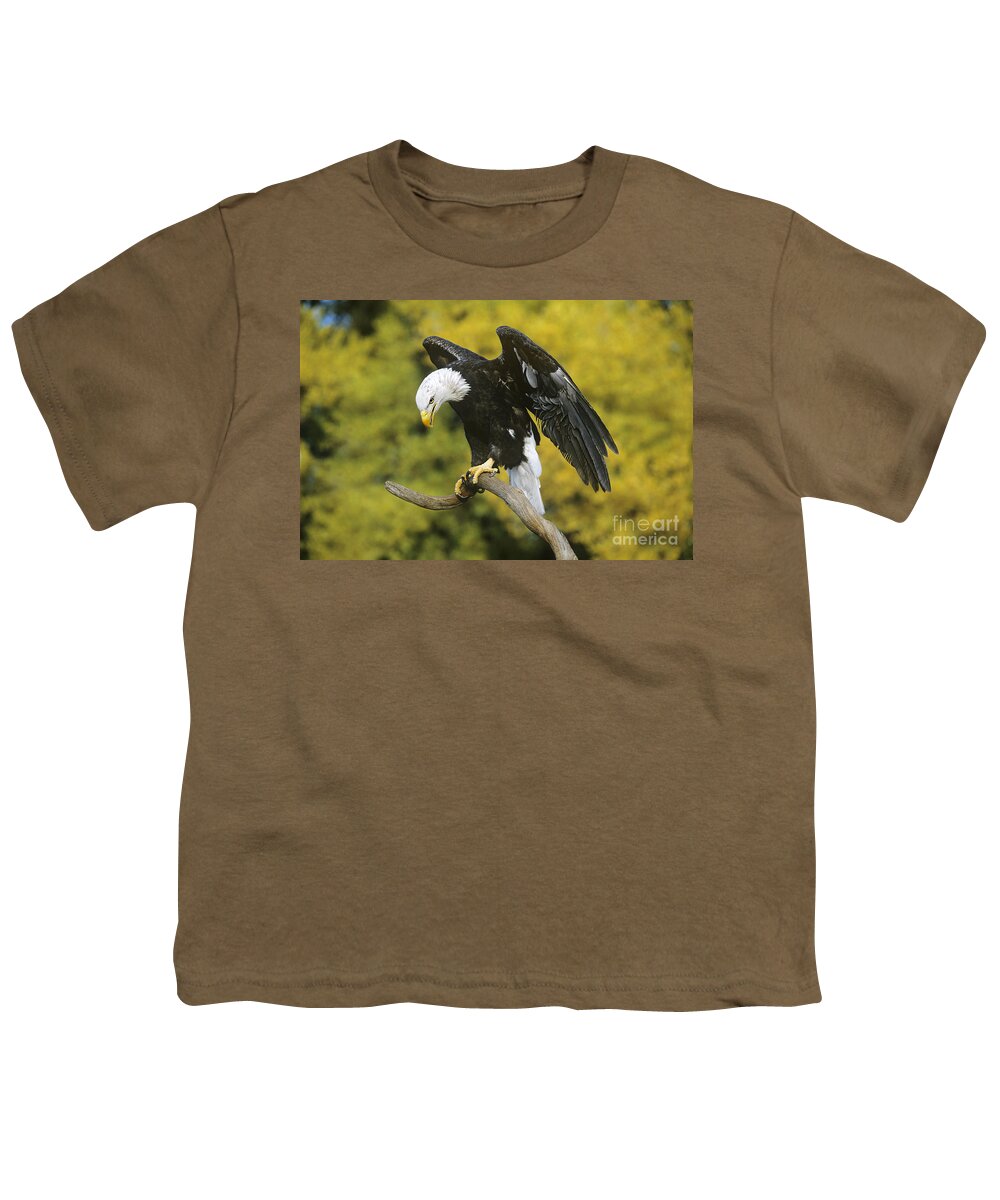 North America Wildlife Youth T-Shirt featuring the photograph Bald Eagle in Perch Wildlife Rescue by Dave Welling