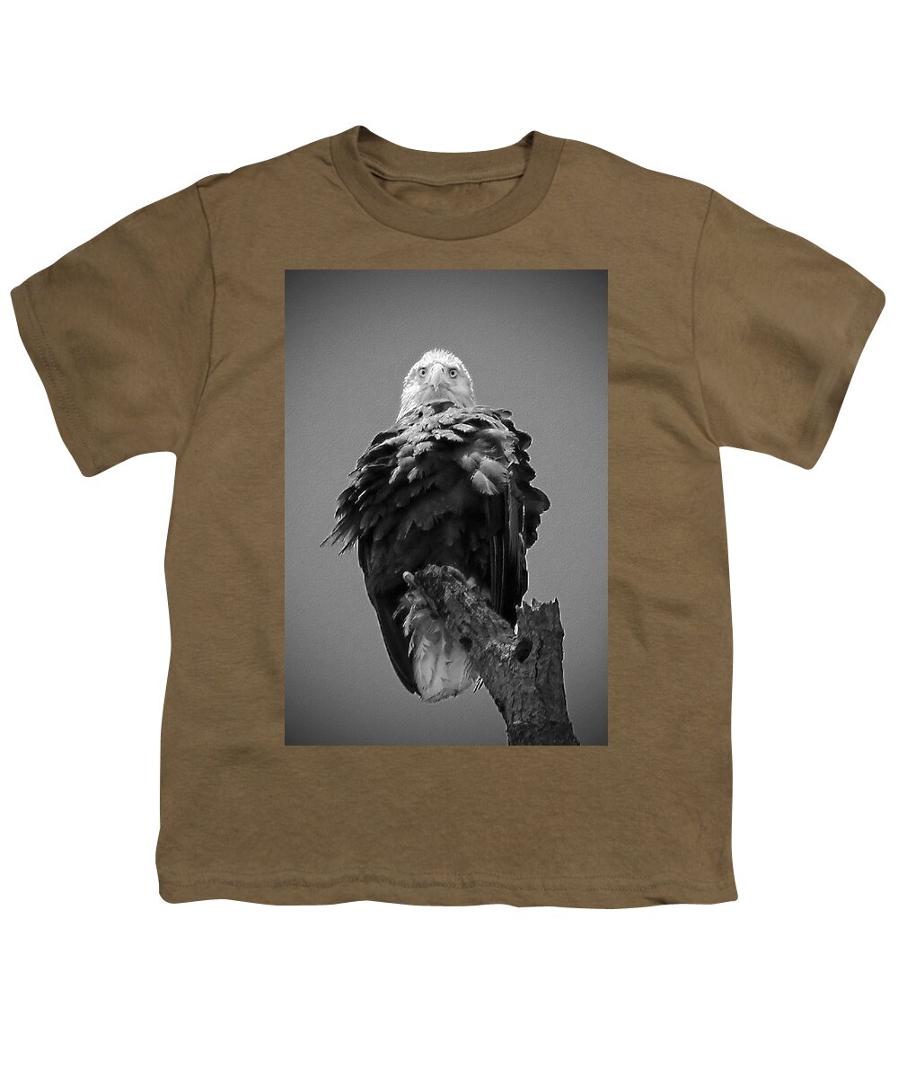 Bald Youth T-Shirt featuring the photograph Bald Eagle Stare B W by Jemmy Archer