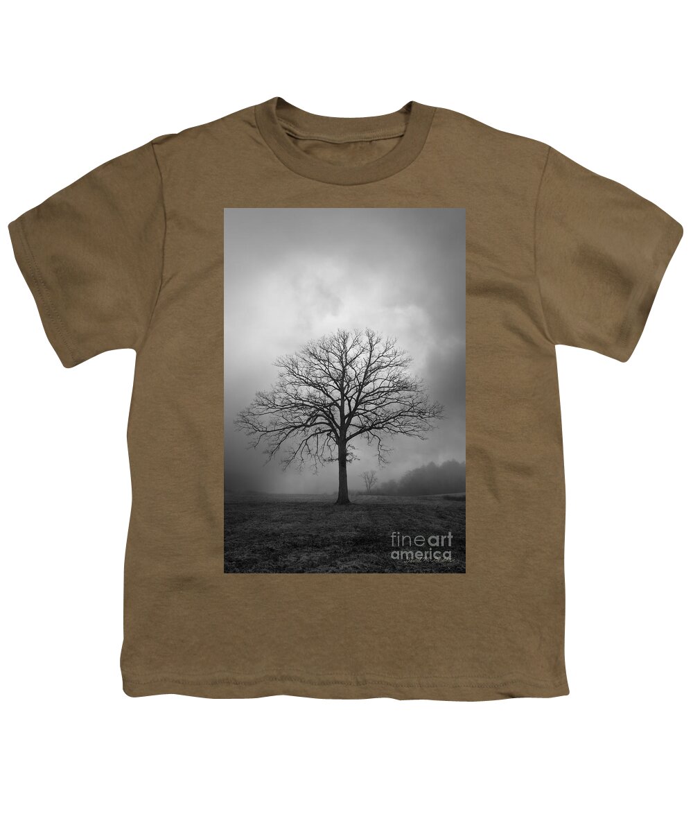Tree Youth T-Shirt featuring the photograph Bare Tree And Clouds BW by David Gordon