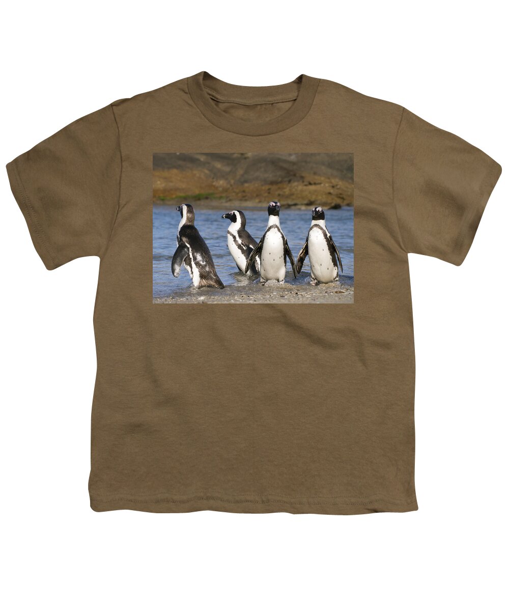 Nis Youth T-Shirt featuring the photograph Black-footed Penguins On Beach Cape by Alexander Koenders