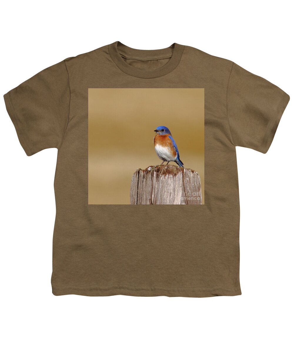 Animal Youth T-Shirt featuring the photograph Bluebird At His Post by Robert Frederick