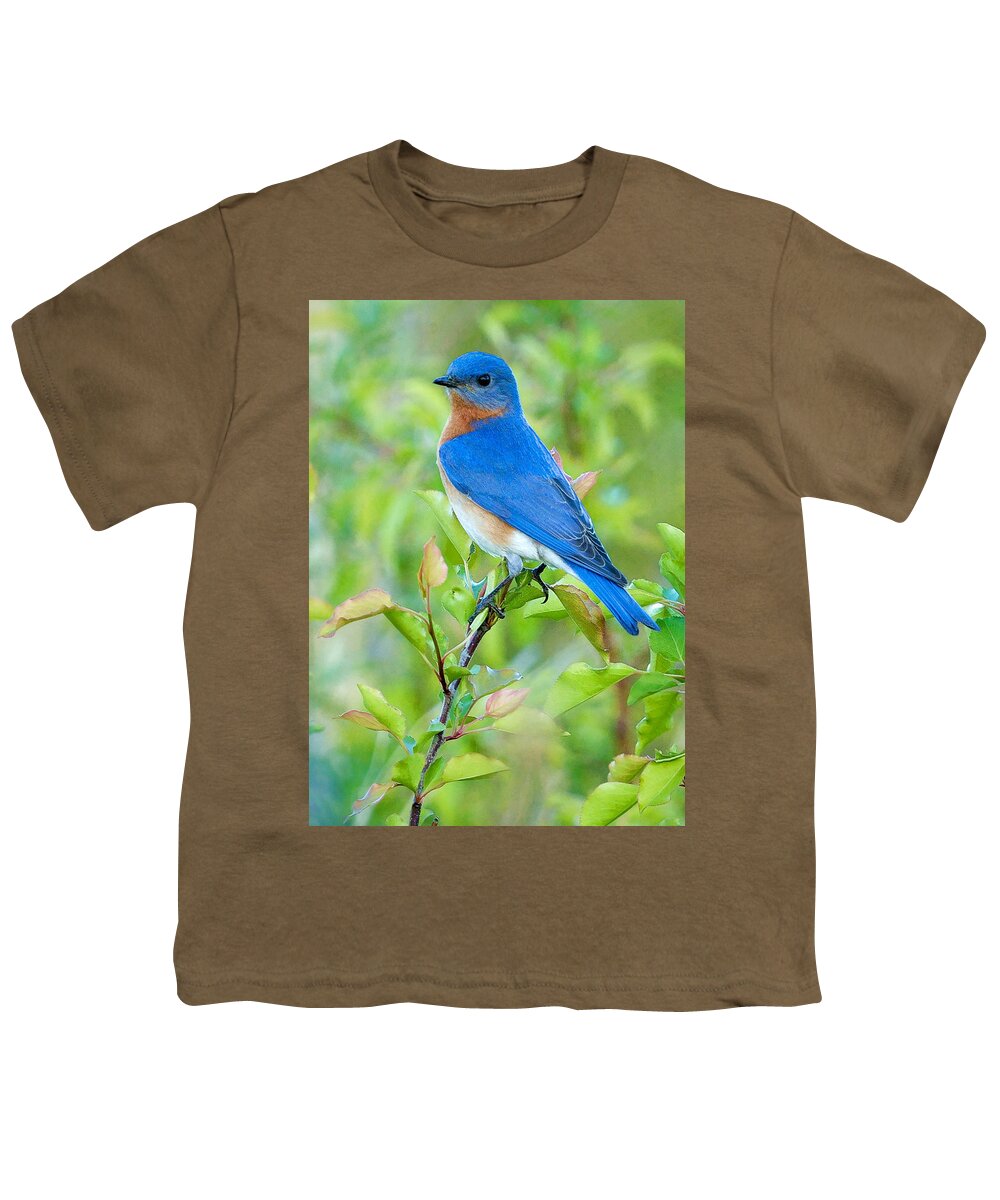 Bluebird Youth T-Shirt featuring the photograph Bluebird Joy by William Jobes