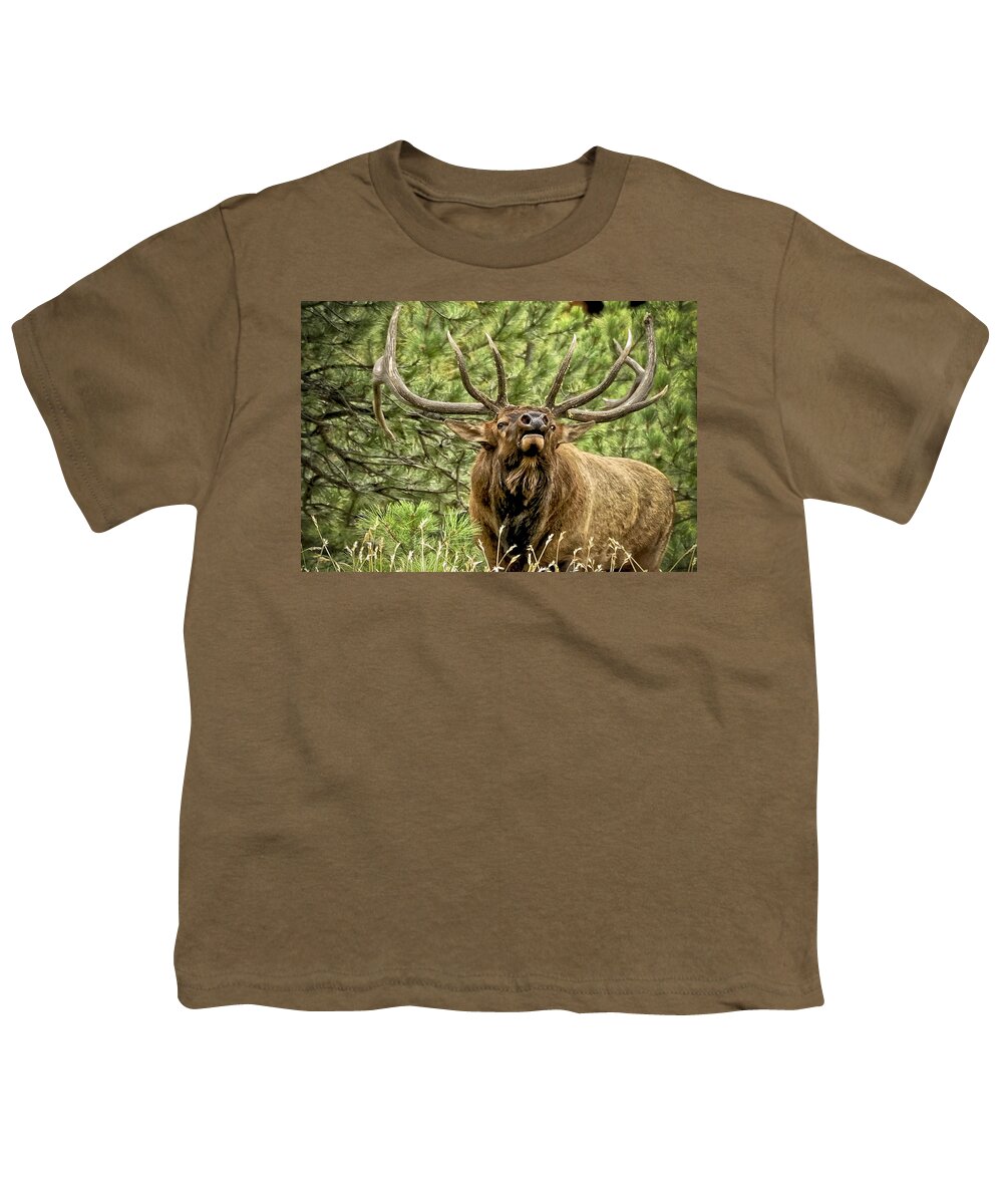 Bull Elk Youth T-Shirt featuring the photograph Bugling Bull Elk II by Ron White