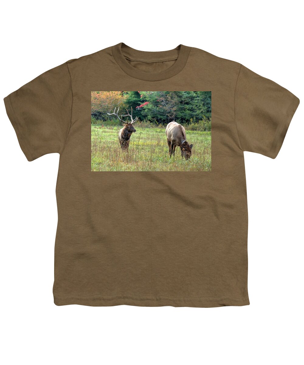 Elk Youth T-Shirt featuring the photograph Bull Elk and His Lady at Cataloochee by Carol Montoya