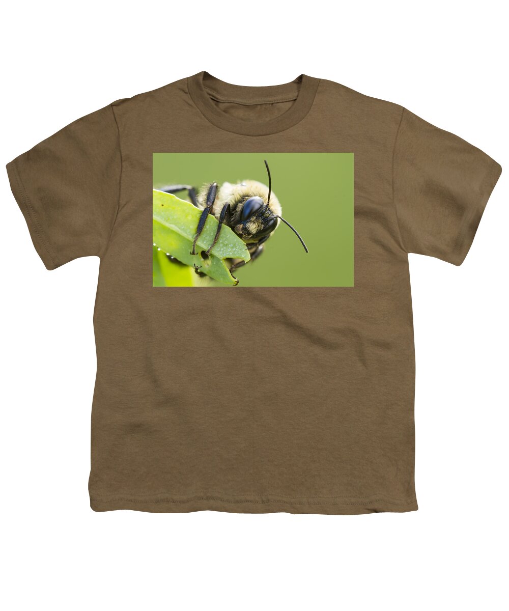 Background Youth T-Shirt featuring the photograph Bumblebee by Mircea Costina Photography