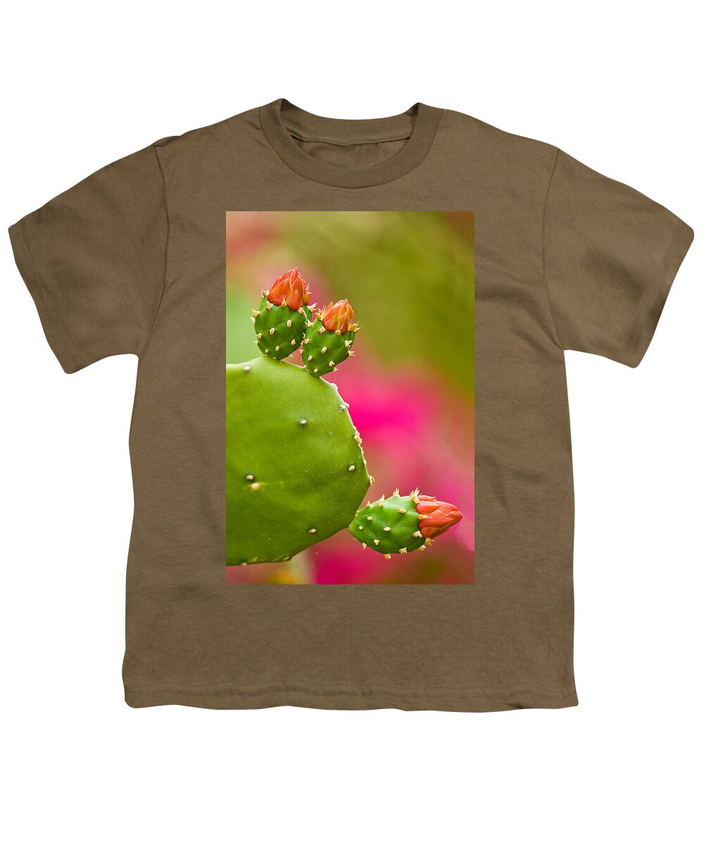 Cactus Youth T-Shirt featuring the photograph Cactus Flower by Lisa Chorny
