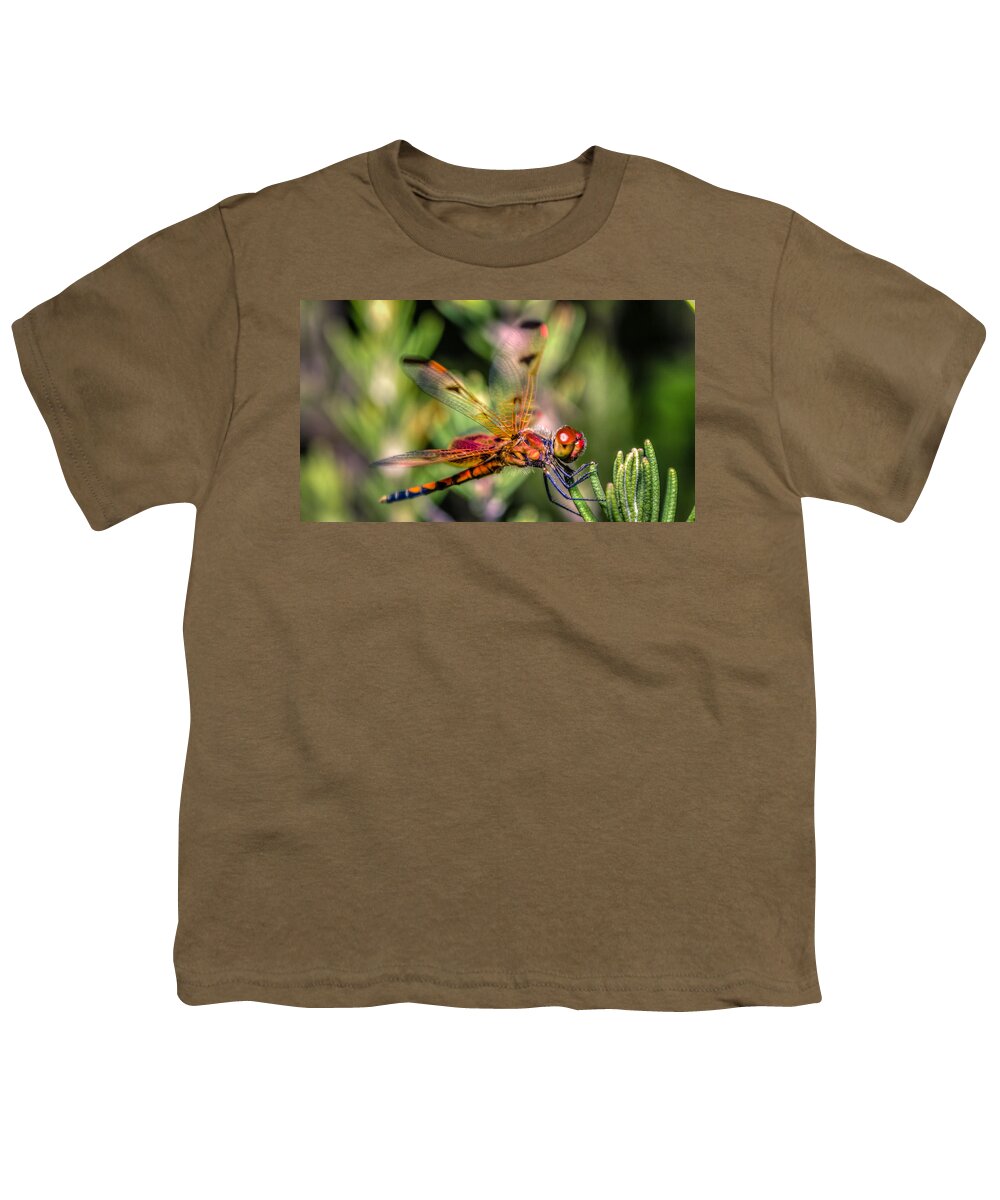 Wildlife Youth T-Shirt featuring the photograph Calico Pennant by Rob Sellers