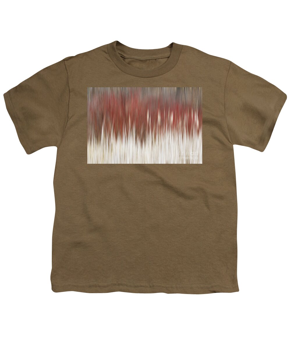 Abstract Youth T-Shirt featuring the photograph Cattails and Dogwood by Barbara McMahon