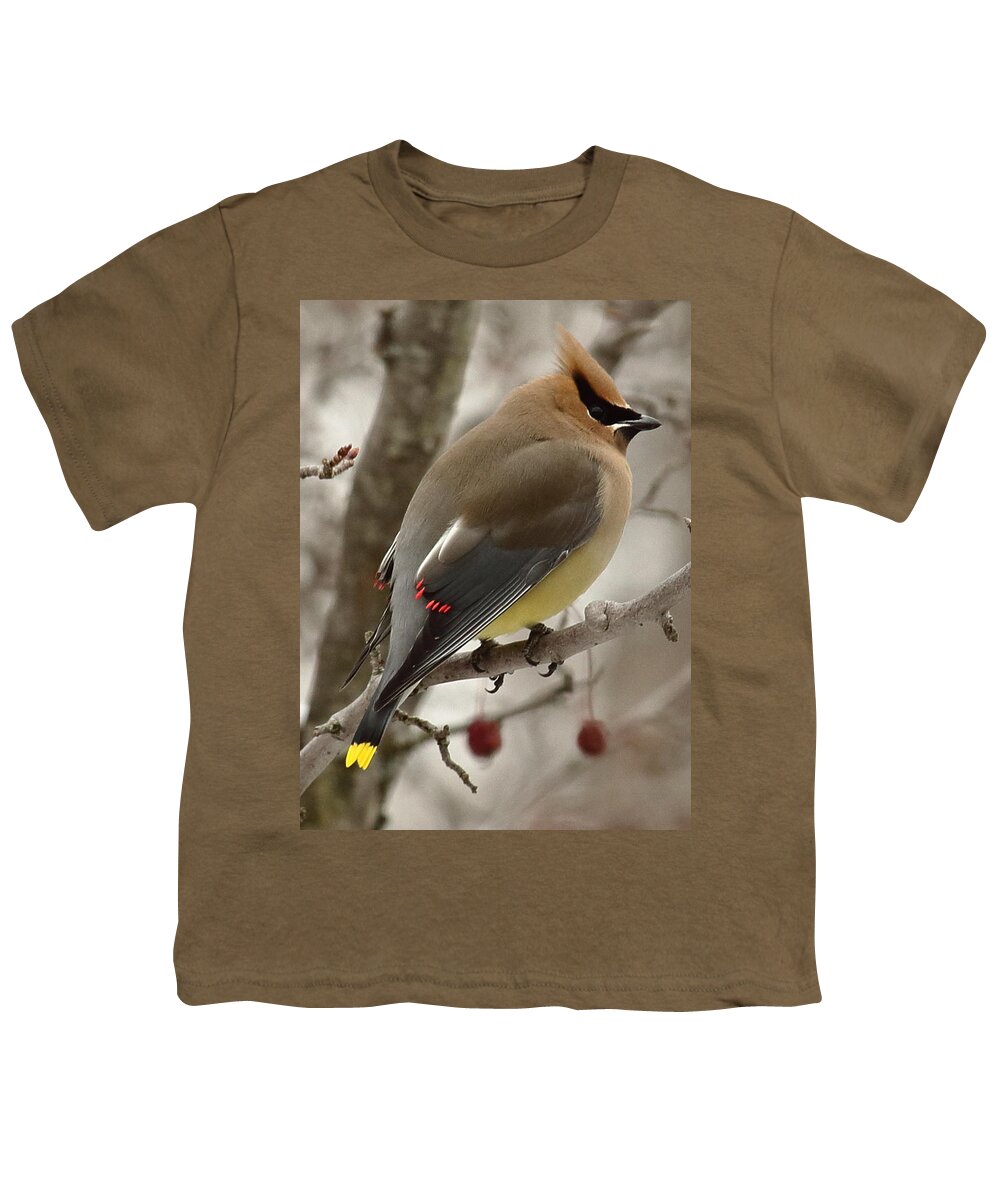 Wildlife Youth T-Shirt featuring the photograph Cedar Waxwing by Dale Kauzlaric