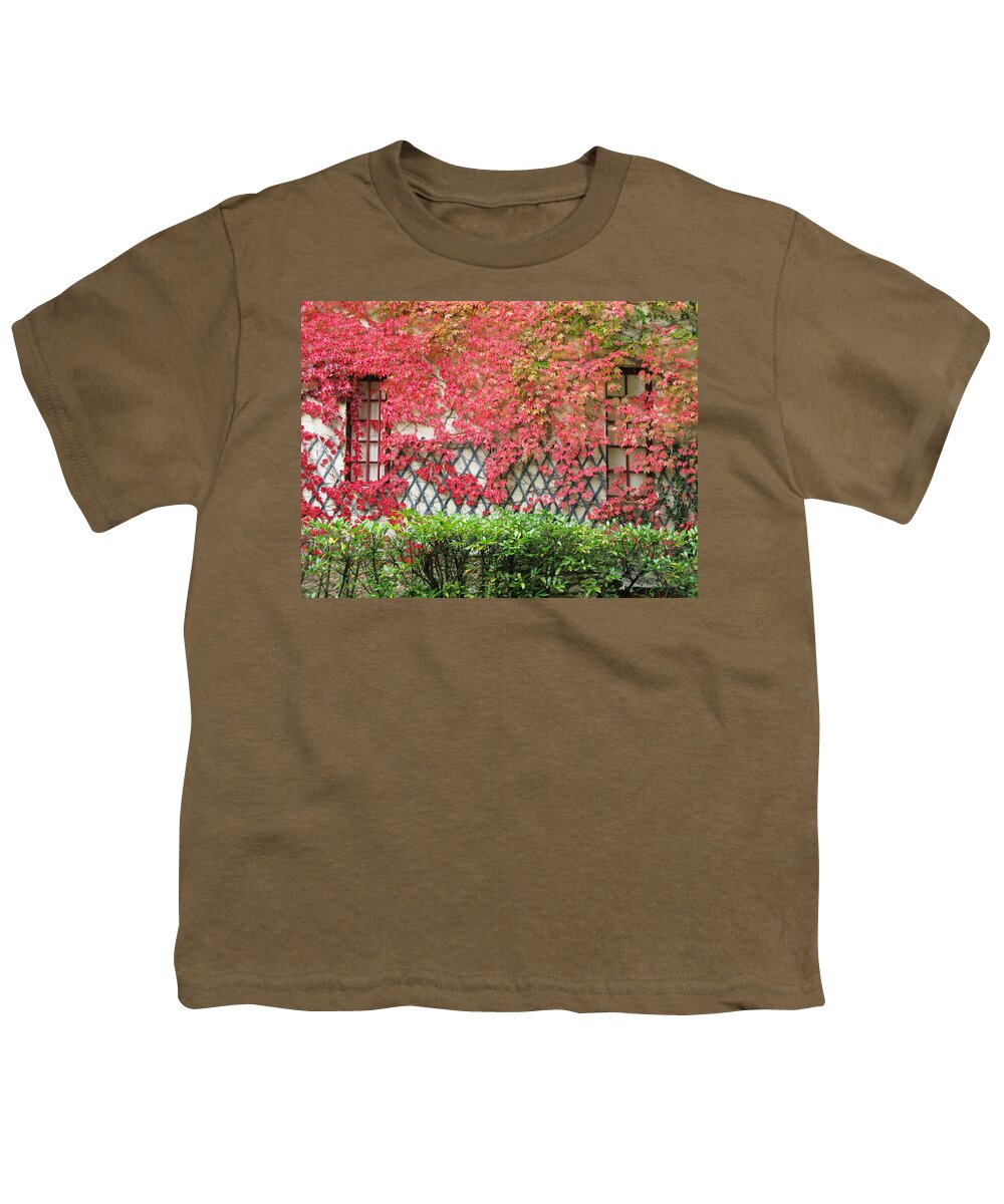 Fall Leaves Youth T-Shirt featuring the photograph Chateau Chenonceau Vines on Wall Image One by Randi Kuhne