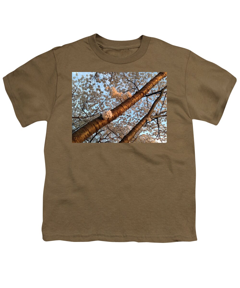 Washington Dc Youth T-Shirt featuring the photograph Cherry Blossoms by Lois Ivancin Tavaf