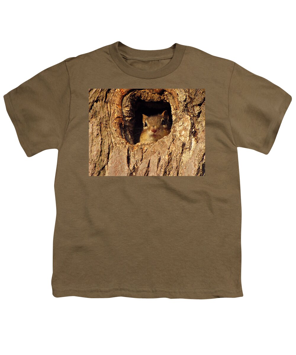Chipmunk Youth T-Shirt featuring the photograph Chipmunk by David Dehner