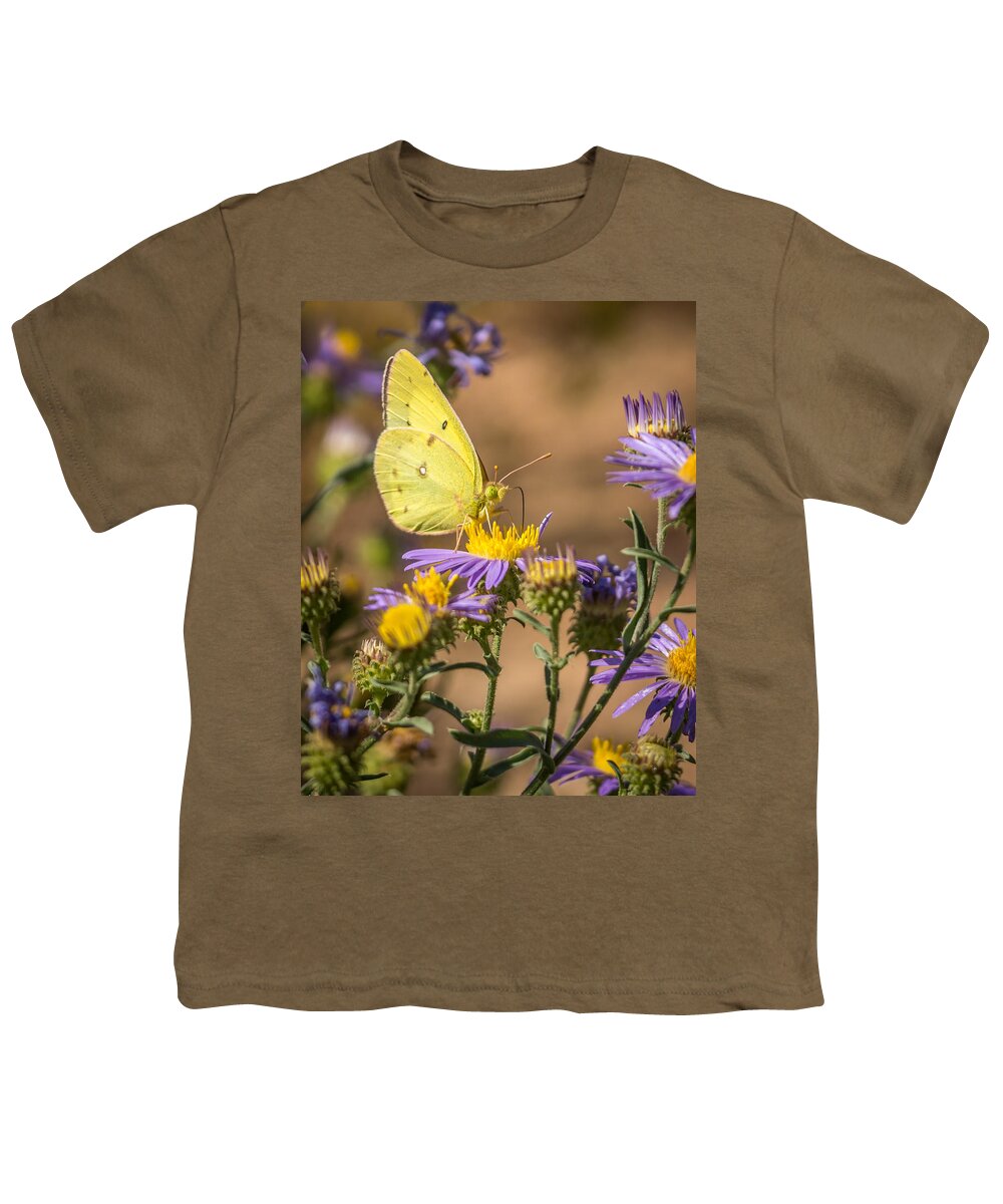 Clouded Sulphur Youth T-Shirt featuring the photograph Clouded Sulphur Butterfly 4 by Ernest Echols