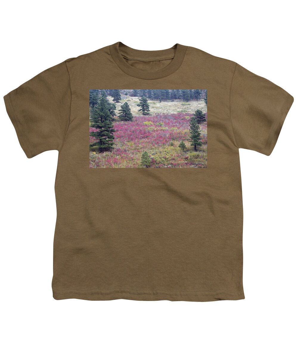 Red Youth T-Shirt featuring the photograph Colorado Red by James BO Insogna