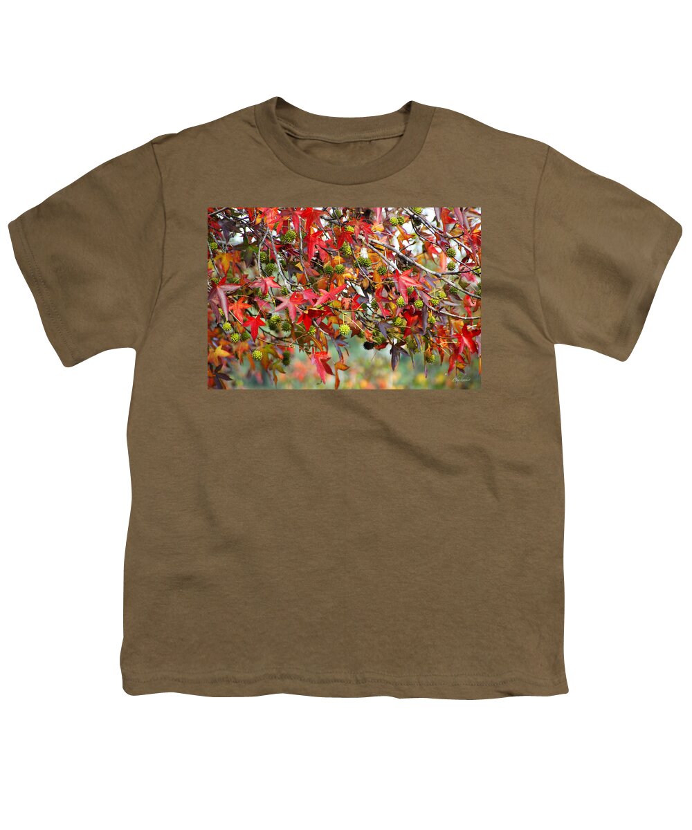 Autumn Youth T-Shirt featuring the photograph Colored Leaves and Faery Maces by Diana Haronis