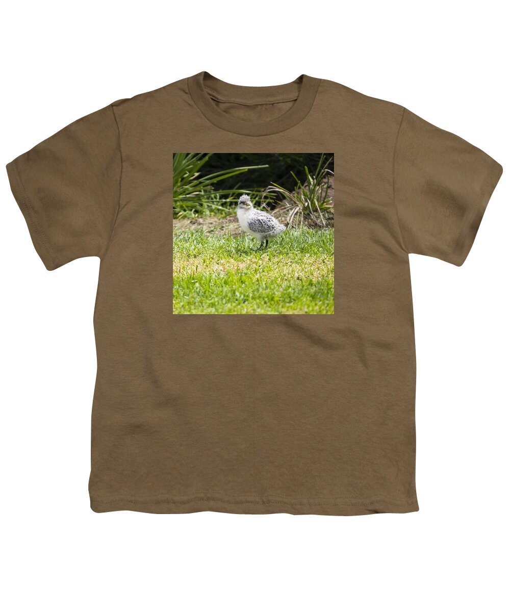 Australia Youth T-Shirt featuring the photograph Crested Tern Chick - Montague Island - Australia by Steven Ralser