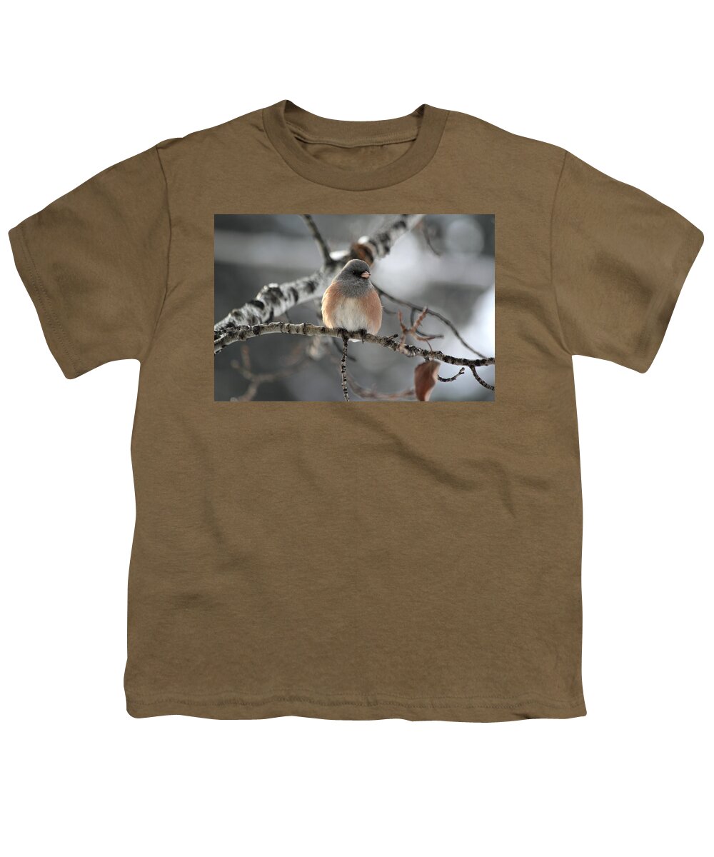 Dark-eyed Junco Youth T-Shirt featuring the photograph Dark-Eyed Junco by Shane Bechler
