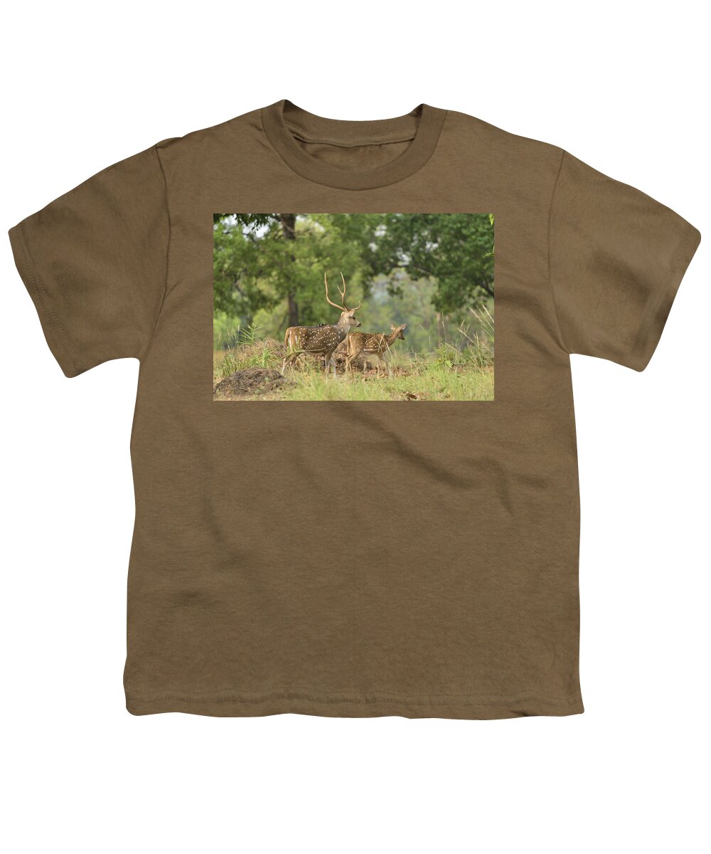 Deer Youth T-Shirt featuring the photograph Deerscape by Fotosas Photography