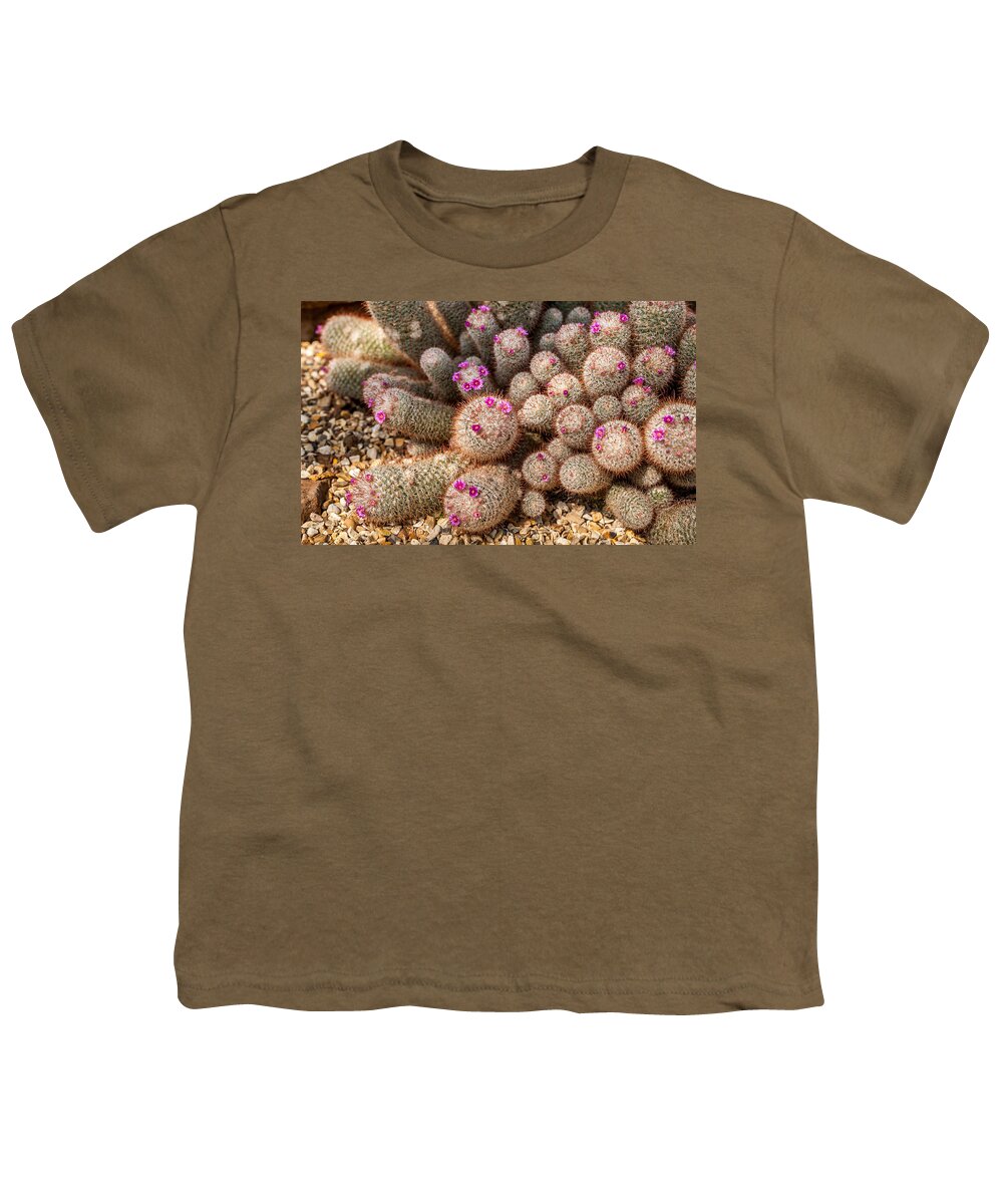 Pink Youth T-Shirt featuring the photograph Desert Cactus by Mark Llewellyn