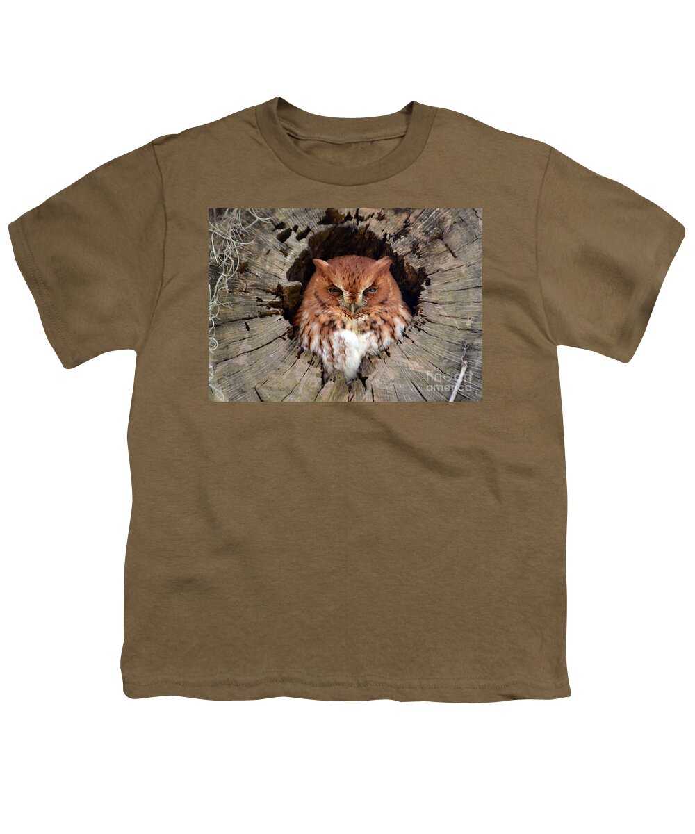 Owl Youth T-Shirt featuring the photograph Eastern Screech Owl by Kathy Baccari