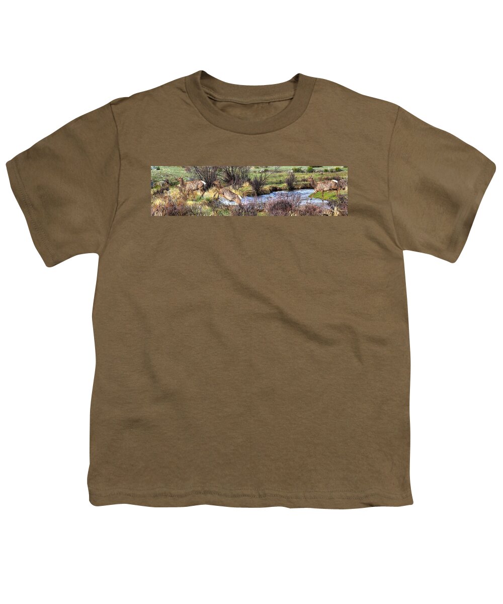 Elk Youth T-Shirt featuring the photograph Elk In Motion by Shane Bechler