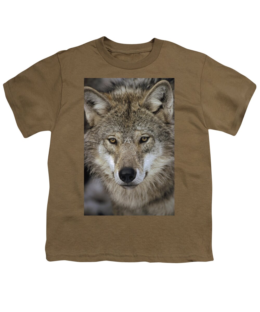 Feb0514 Youth T-Shirt featuring the photograph European Wolf Portrait Sweden by Konrad Wothe