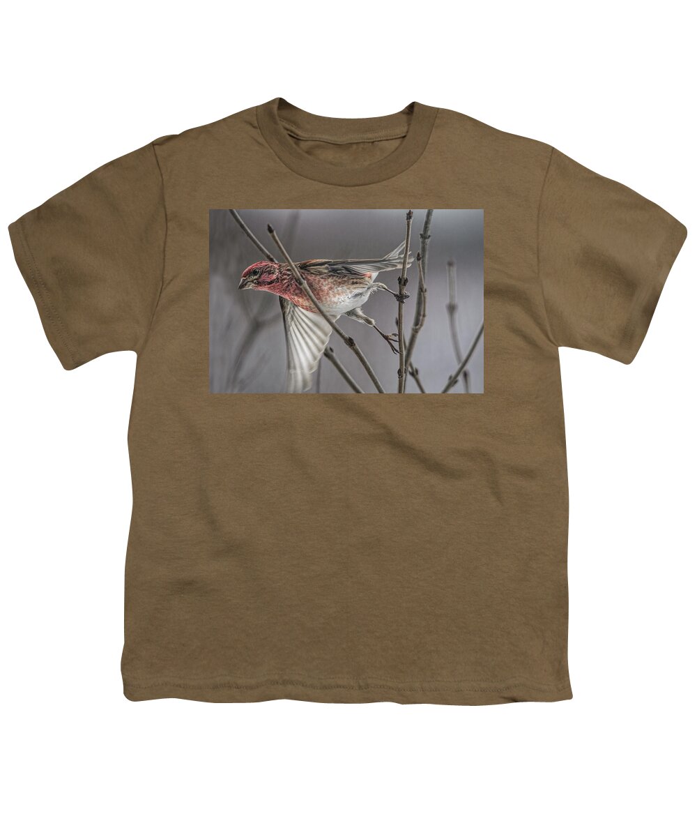 House Finch Youth T-Shirt featuring the photograph Exit Stage Left by Sue Capuano