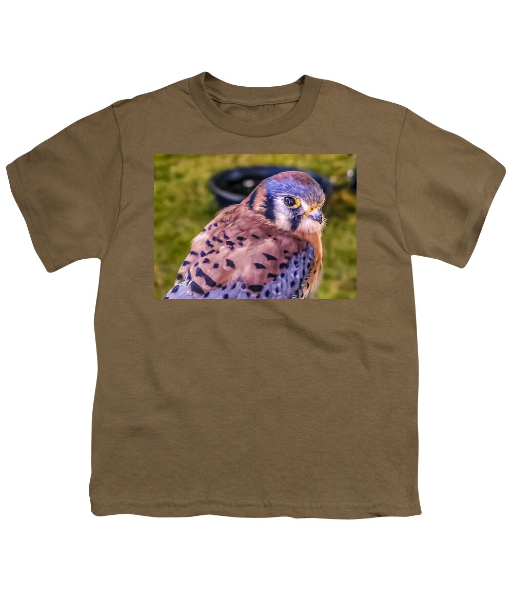 Bird Youth T-Shirt featuring the photograph Falco sparverius by Traveler's Pics