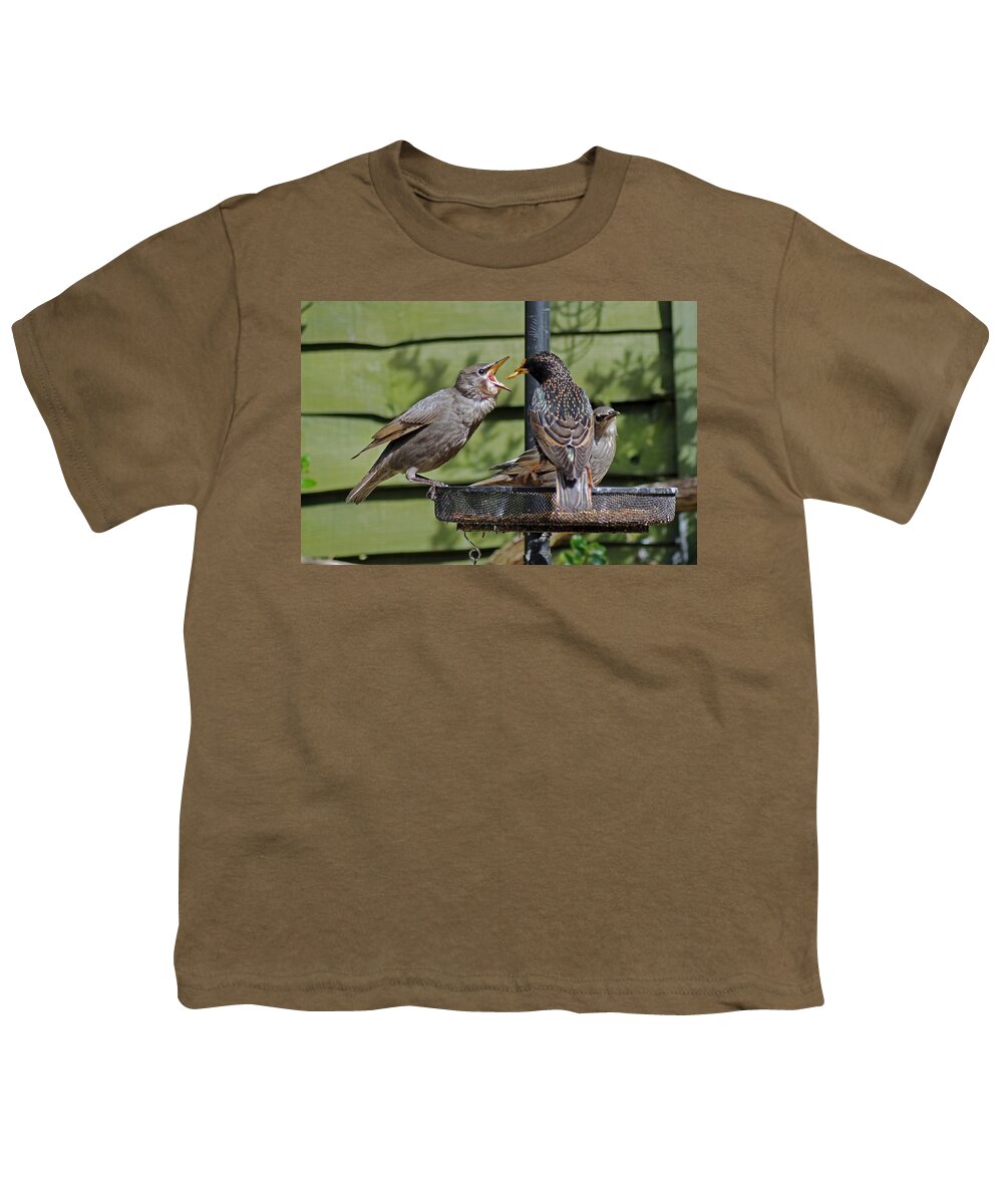 Juvenile Starling Youth T-Shirt featuring the photograph Feeding Time by Tony Murtagh