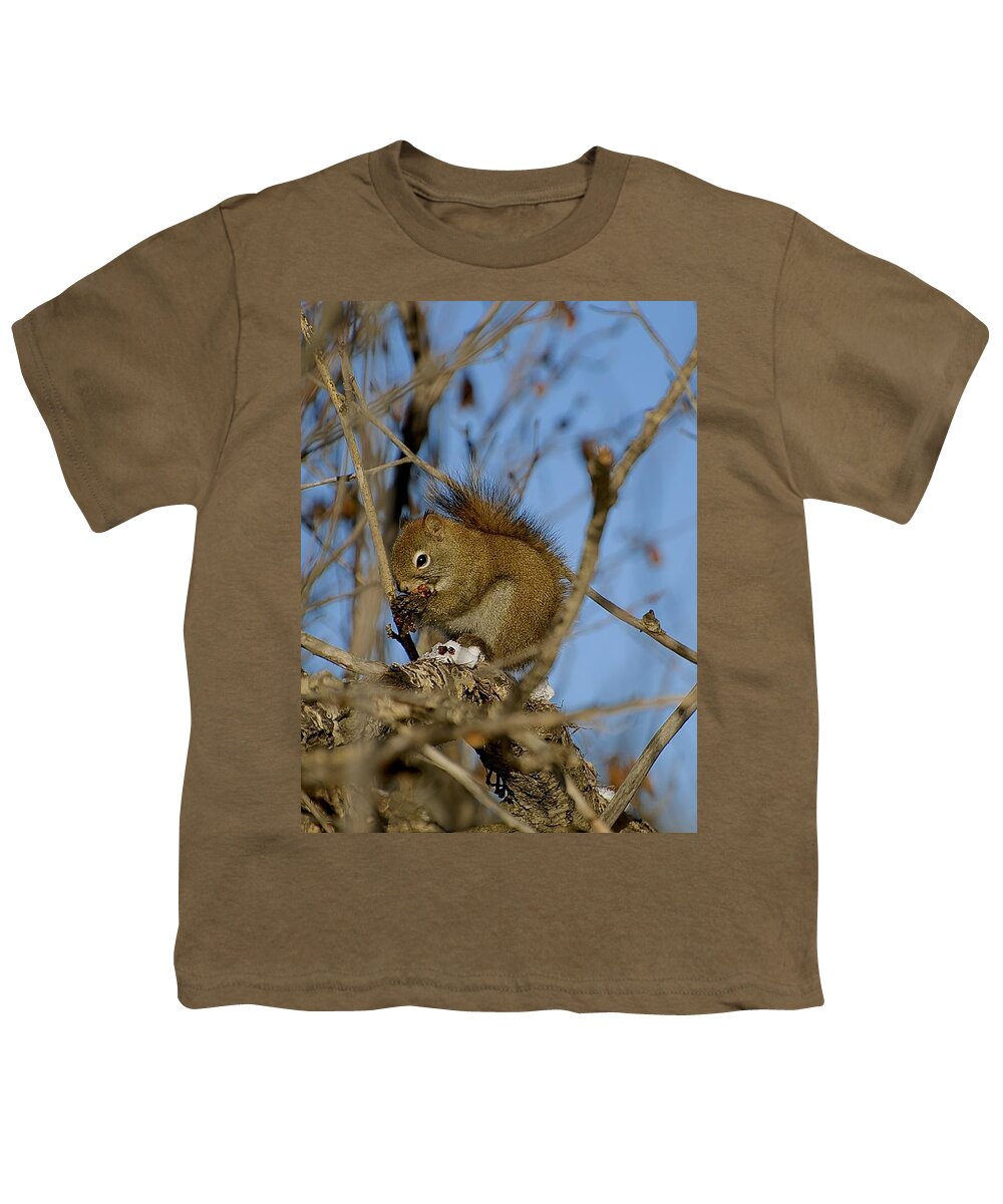 Squirrel Youth T-Shirt featuring the photograph Find your own lunch by Jim Hogg