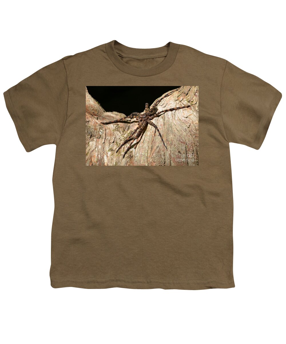 Spider Youth T-Shirt featuring the photograph Fishing Spider by Kathy Baccari