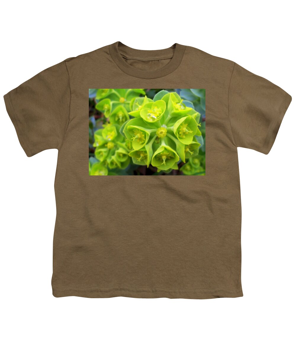 Succulent Plants Youth T-Shirt featuring the photograph Fresh green succulents by Lingfai Leung