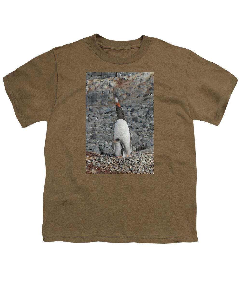 Penguin Youth T-Shirt featuring the photograph Gentoo Penguin Hen and Chick by Alan Toepfer