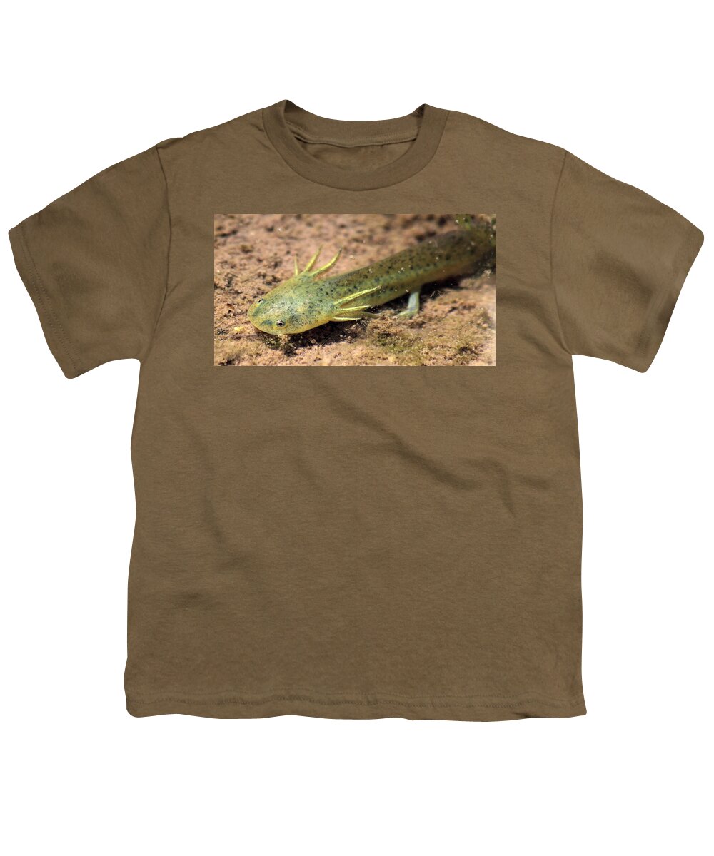 Mud Puppy Youth T-Shirt featuring the photograph Gills by Shane Bechler