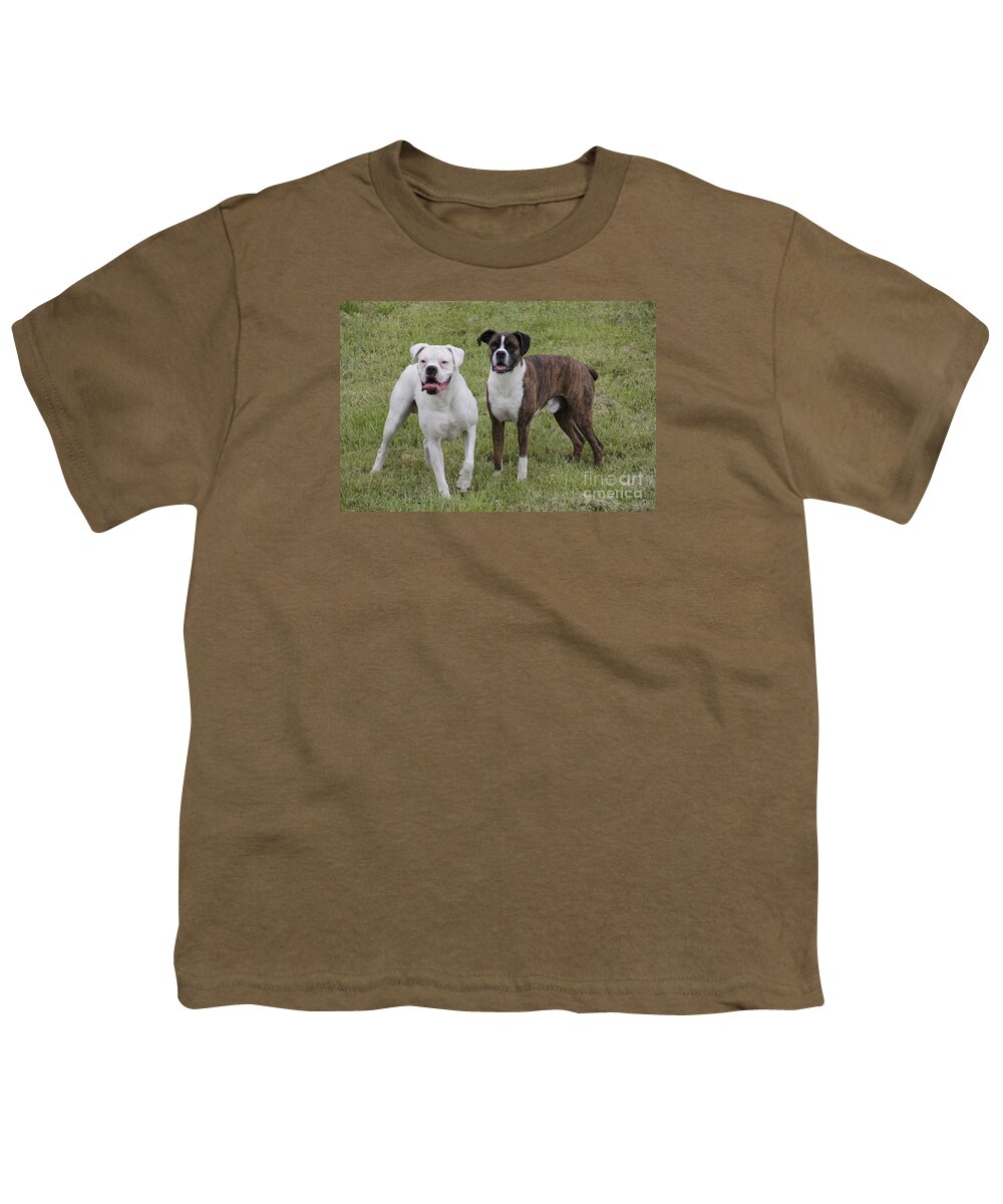 Dogs Youth T-Shirt featuring the photograph Boxer Dogs Friends by Valerie Collins