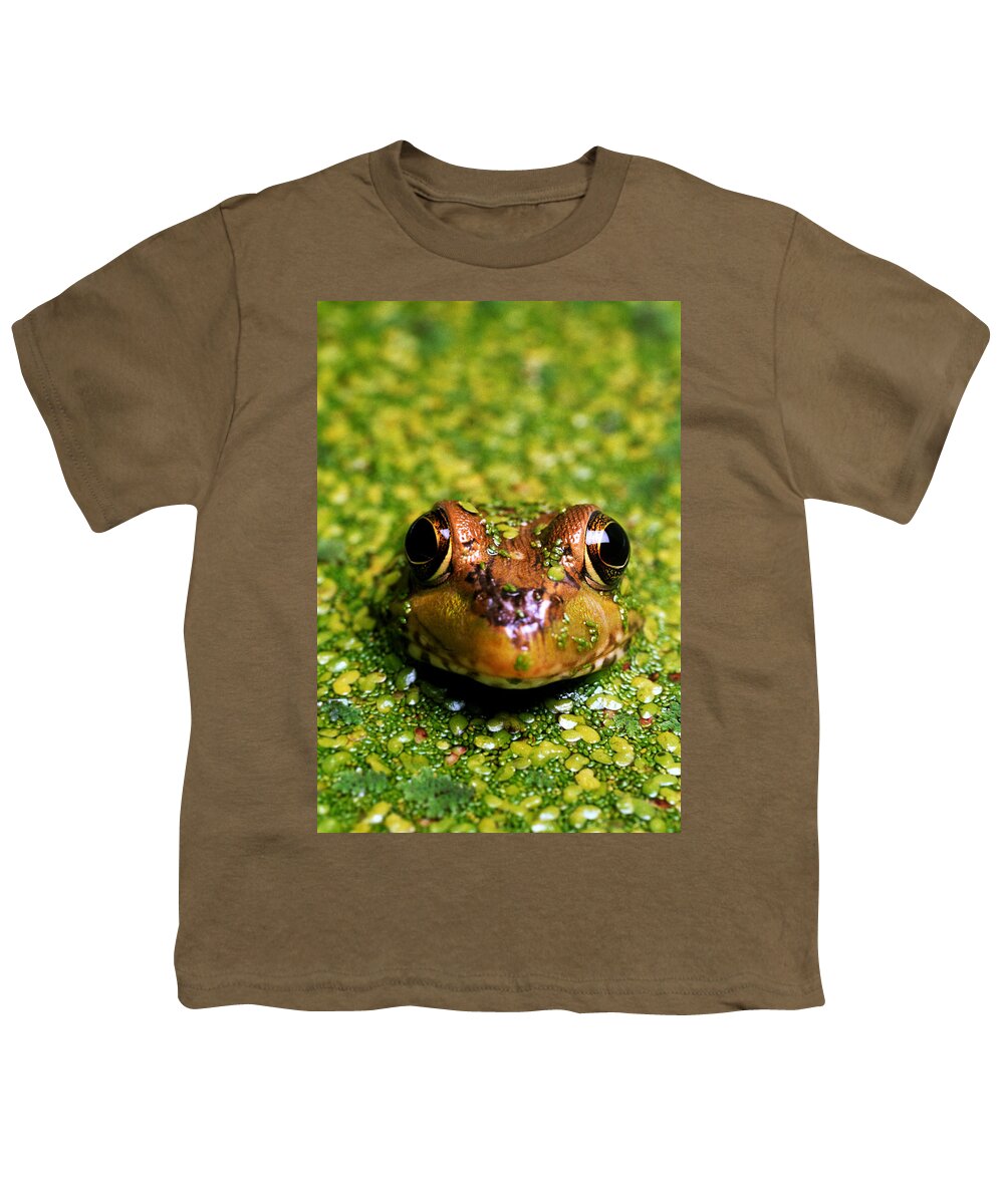 Green Frog Youth T-Shirt featuring the photograph Green Frog Hiding by David N. Davis