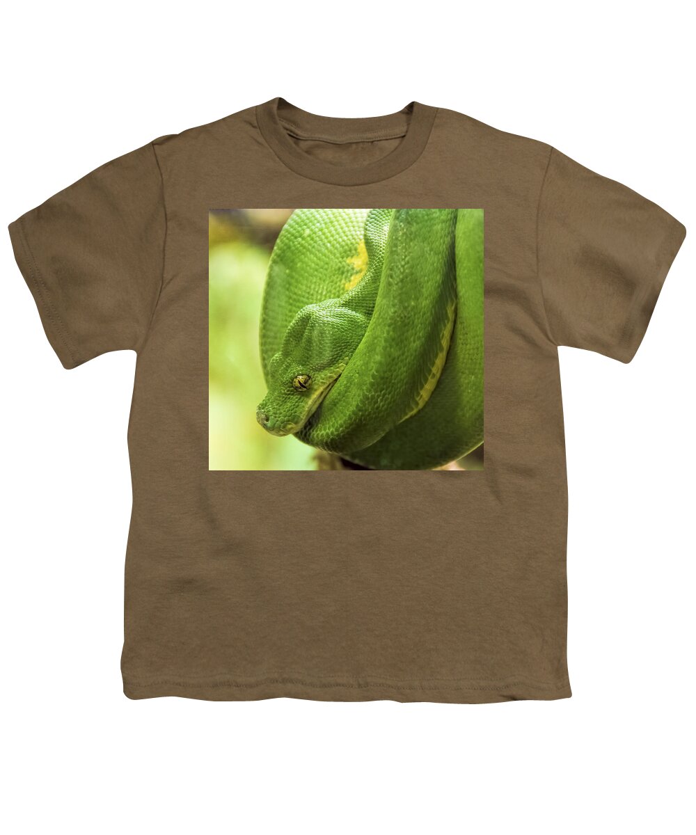 Pennysprints Youth T-Shirt featuring the photograph Green Tree Python by Penny Lisowski