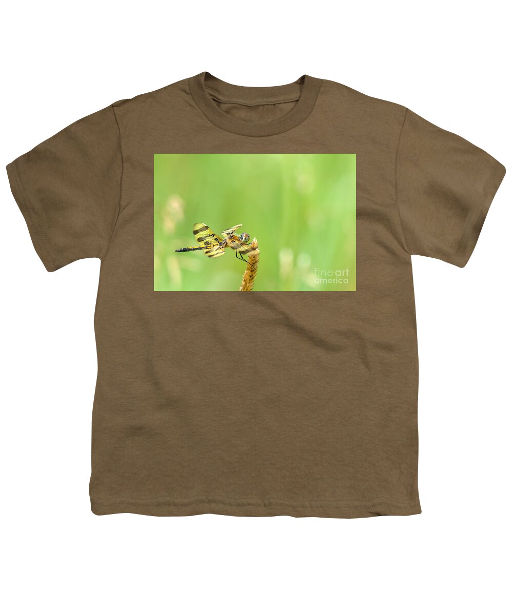 Halloween Penant Dragonfly Youth T-Shirt featuring the photograph Halloween in the Summer by Cheryl Baxter