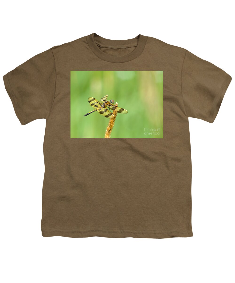 Halloween Penant Dragonfly Youth T-Shirt featuring the photograph Halloween Pennant by Cheryl Baxter