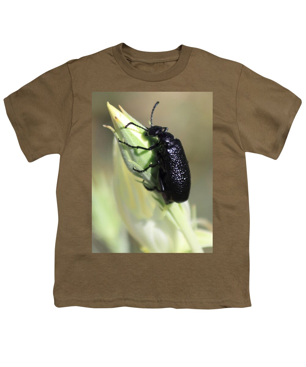 Bug Youth T-Shirt featuring the photograph Hey Bud #1 by Shane Bechler