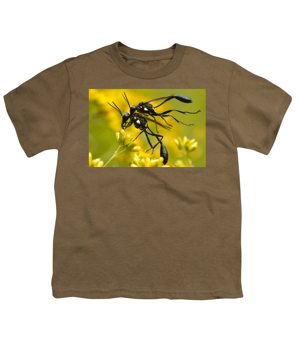 Wasp Youth T-Shirt featuring the photograph Holding On by Shane Holsclaw