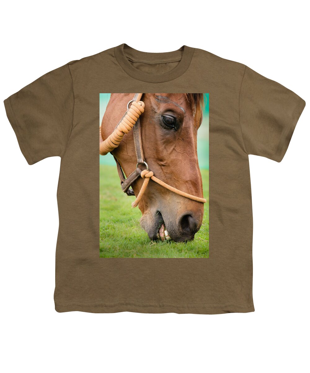  Animal Youth T-Shirt featuring the photograph Horse grazing by SAURAVphoto Online Store
