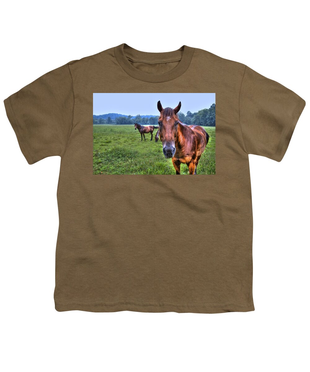 Horse Youth T-Shirt featuring the photograph Horses in a Field by Jonny D